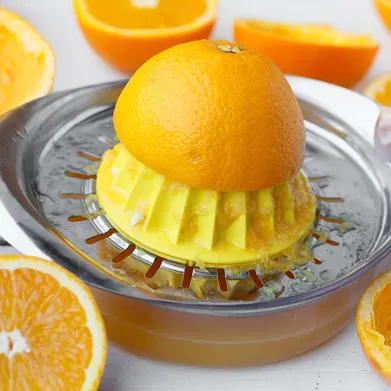 HESTIA APPLIANCES Nutri-Squeeze Cold Press Juicer