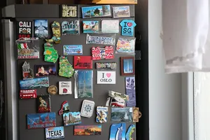 Best Refrigerator in India