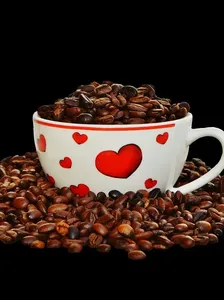 Delonghi Best coffee Machine
