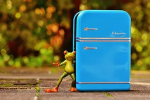 Best Single Door Refrigerator