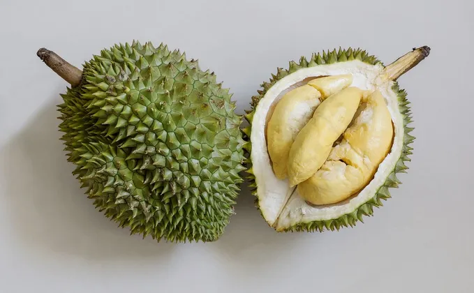 Durian Charles Collection