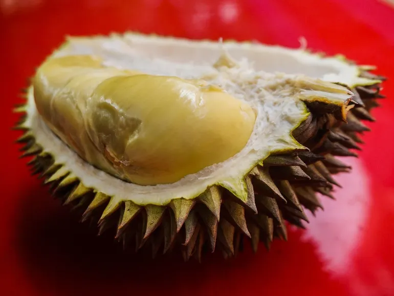 Durian Salina Collection