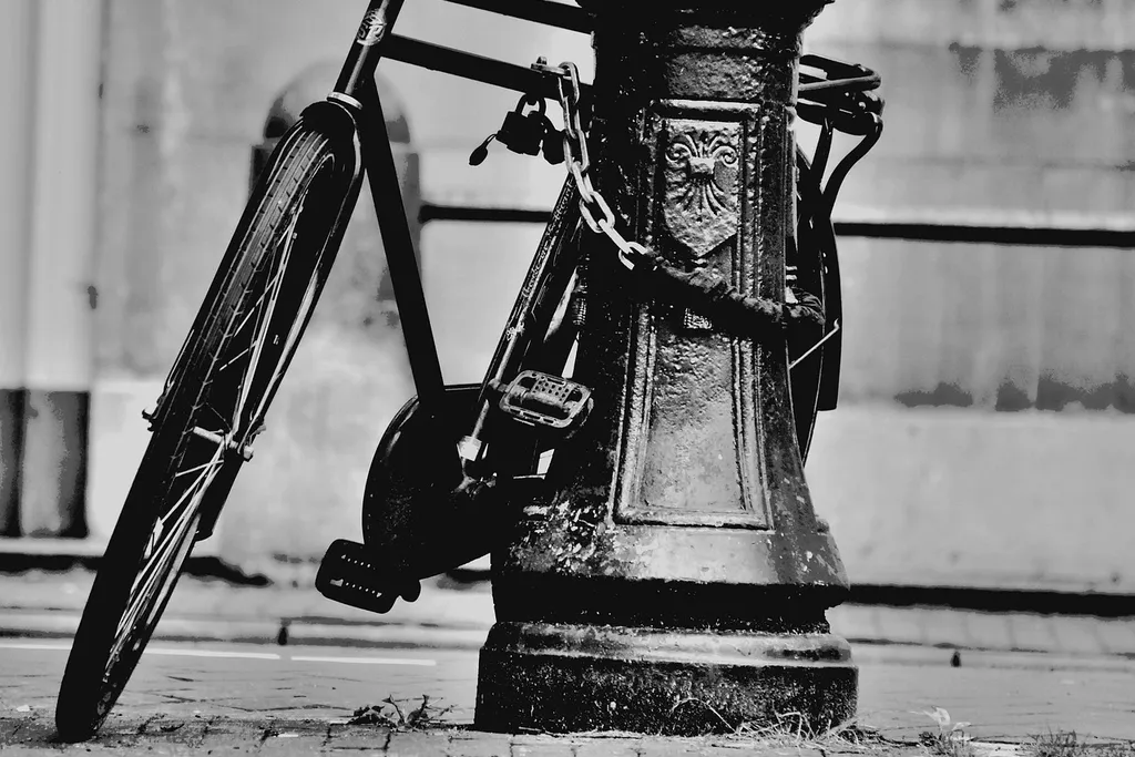 Exercise Cycle